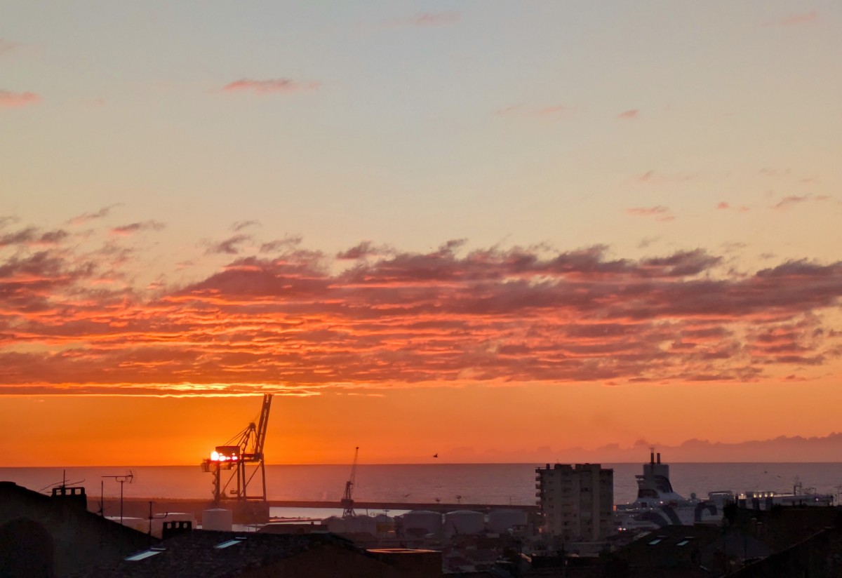Les girafes du port de Sète